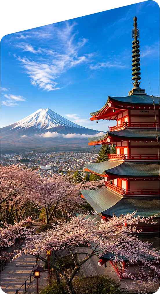 Study in Japan